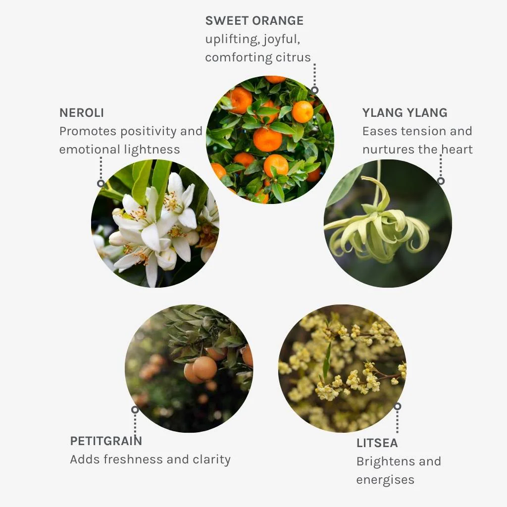 Joyful Light Hand & Body Lotion - Image 5