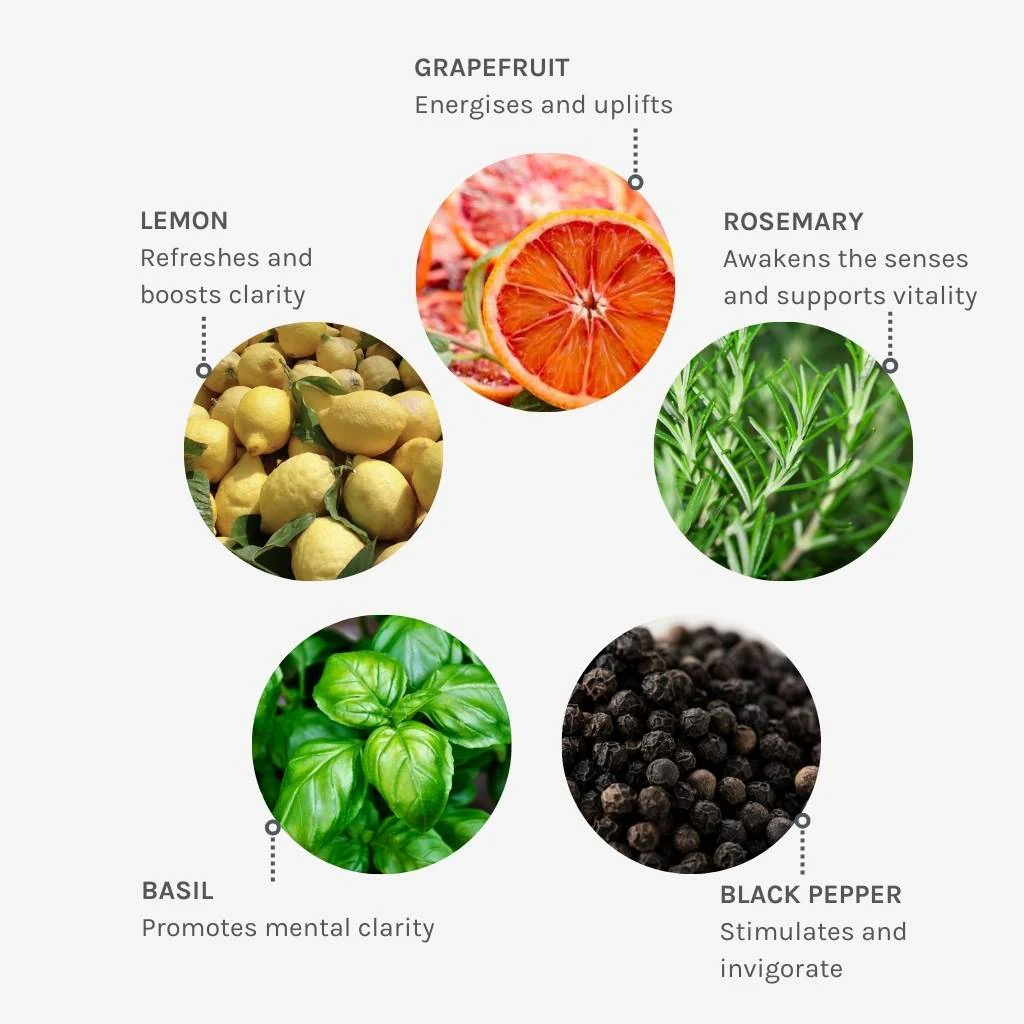 Vital Clarity Hand & Body Lotion - Image 6